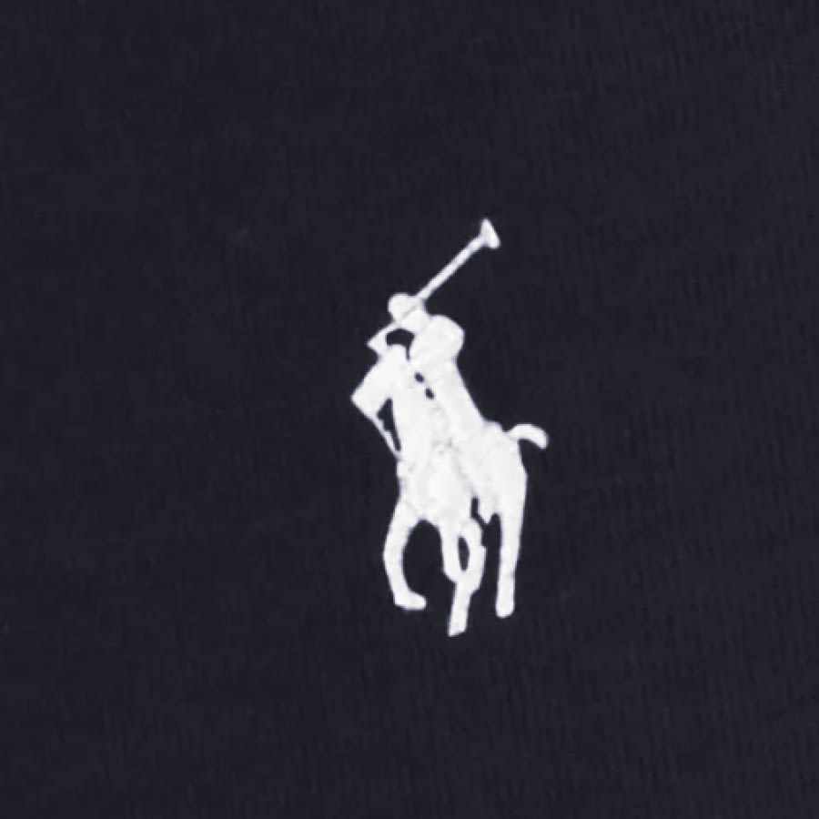 Alternative Image for ProductRalph Lauren Full Zip Hoodie Navy3
